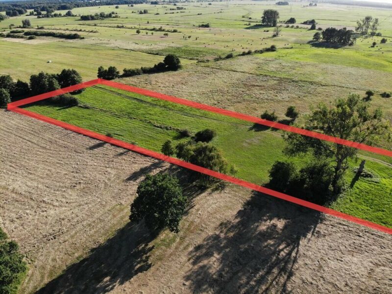 1,95 HA W ŻARNOWIE – TWOJE MIEJSCE BLISKO NATURY