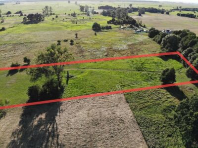 1,95 HA W ŻARNOWIE – TWOJE MIEJSCE BLISKO NATURY