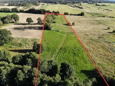 1,95 HA W ŻARNOWIE – TWOJE MIEJSCE BLISKO NATURY