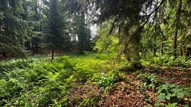 Działka 3206 m² przy jeziorze z WZ