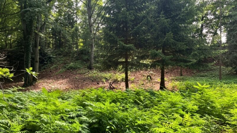 Działka 3206 m² przy jeziorze z WZ