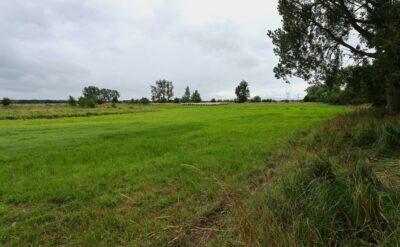 Działka rolna 4,86 ha ŻARNOWO