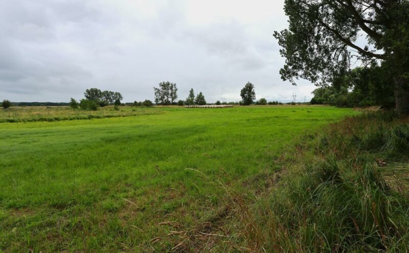 Działka rolna 4,86 ha ŻARNOWO