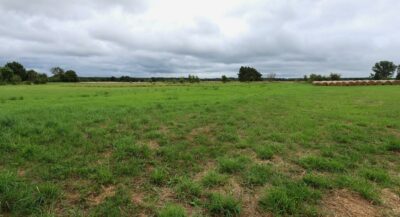 Działka rolna 4,86 ha ŻARNOWO
