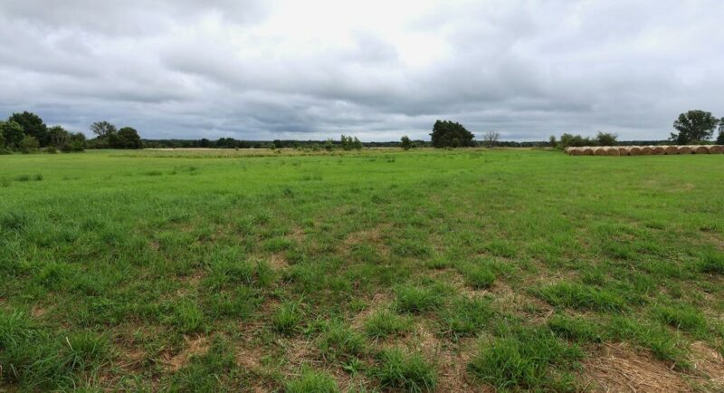 Działka rolna 4,86 ha ŻARNOWO