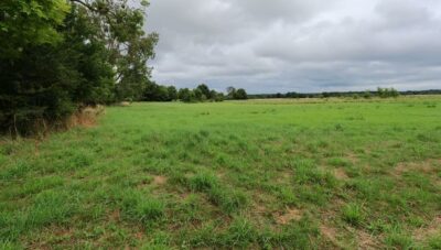 Działka rolna 4,86 ha ŻARNOWO