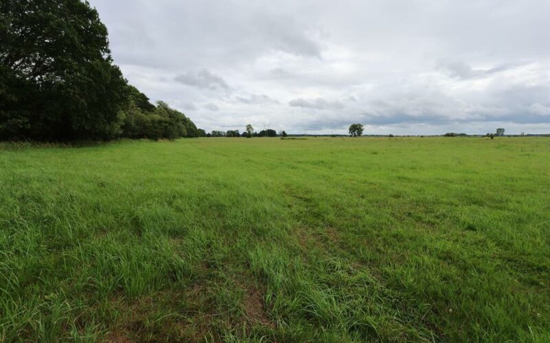 Działka rolna w Żarnowie 3,31 ha, gmina Stepnica
