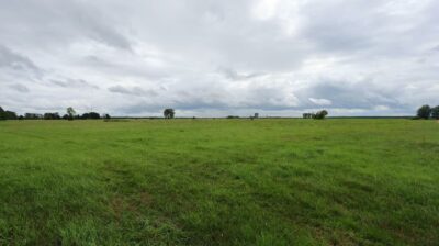 Działka rolna w Żarnowie 3,31 ha, gmina Stepnica