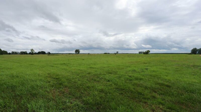 Działka rolna w Żarnowie 3,31 ha, gmina Stepnica