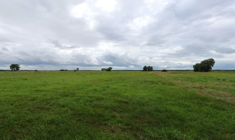 Działka rolna w Żarnowie 3,31 ha, gmina Stepnica