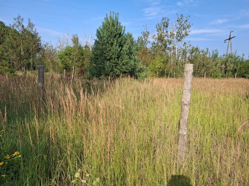 Na sprzedaż działka o pow. 1103m2