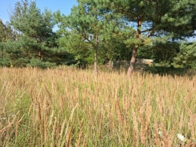Na sprzedaż działka o pow. 1103m2