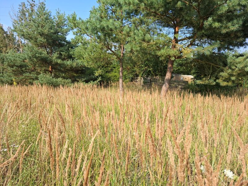Na sprzedaż działka o pow. 1103m2