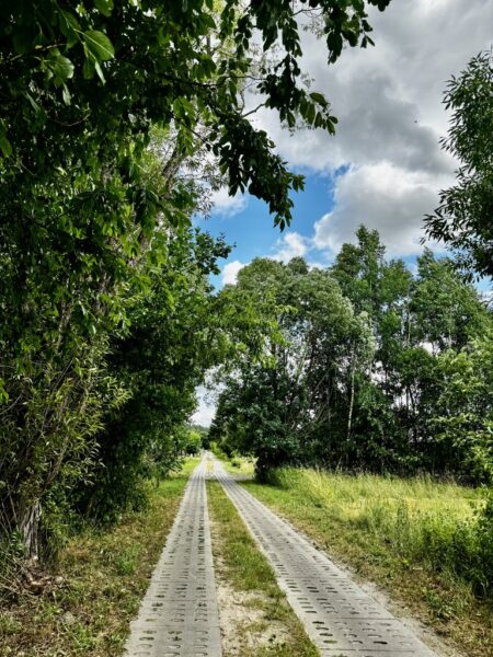 DZIAŁKA Z WZ NA 2 DOMY, 4 KM OD GOLENIOWA