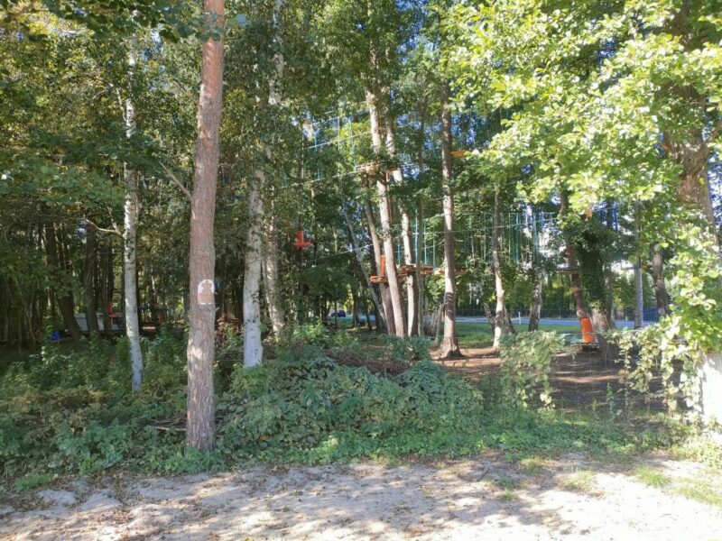 Międzywodzie działka nad morzem 620m2 z projektem.