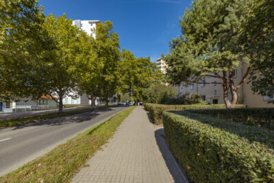 2 pokoje | Ogródek | Garaż | 2 piwnice