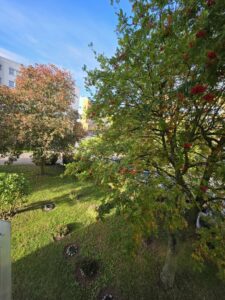 Przytulne i słoneczne 2 pokoje – 49,84 m²