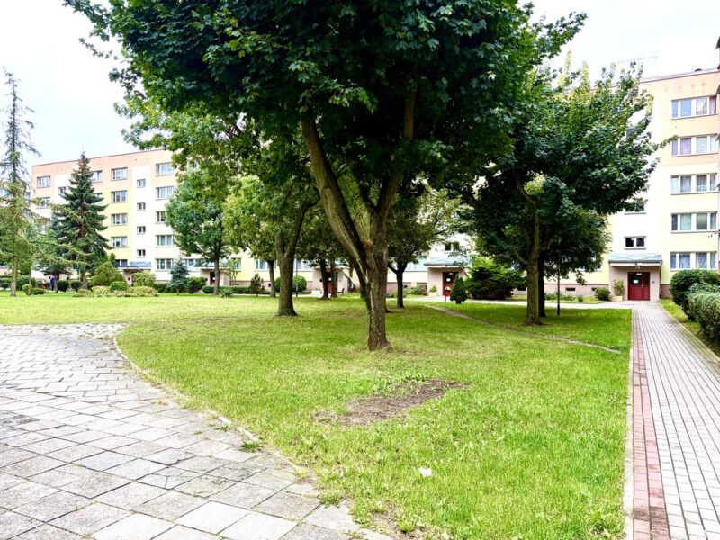 Spółdzielcze Własnościowe/2 pok. 42m2/ Ul. Szafera