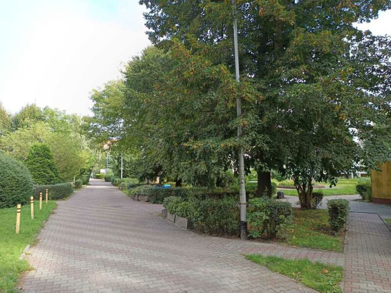 3 pokoje po remoncie, cicha i zielona część Polic!