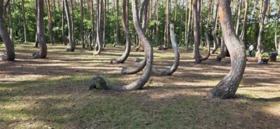 2-pokojowe mieszkanie – Nowe Czarnowo, 2 km od Gryfina