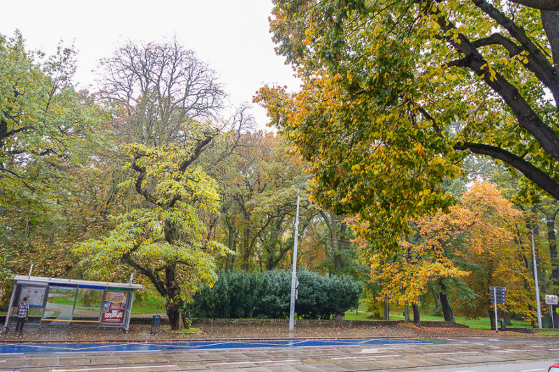4 pokoje, 97,2 m2, parter, blisko Parku 720000 zł
