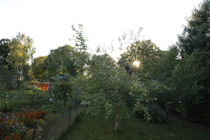 2 pokoje na parterze z ogrodem i garażem. Niski czynsz!