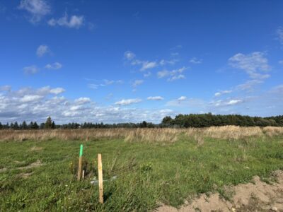 Działki w Sieciechowie, gm. Nowogard. 954 m2.