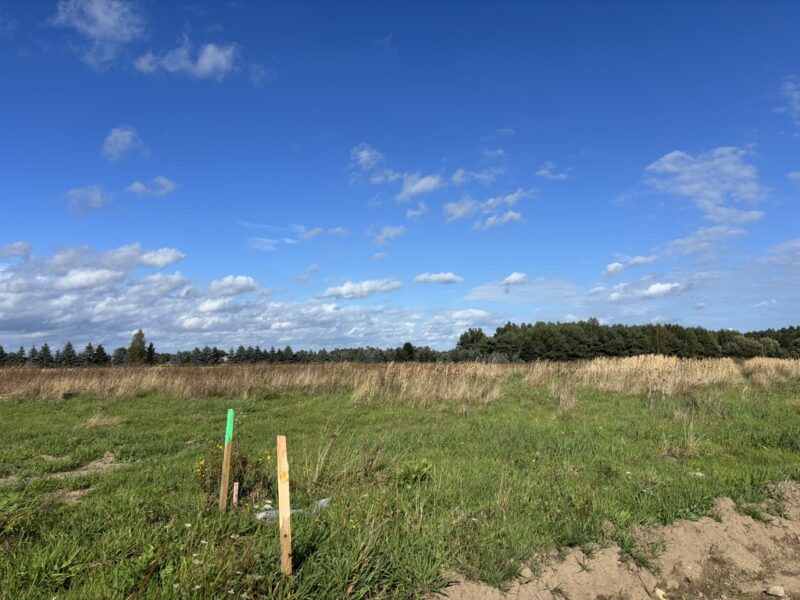 Działki w Sieciechowie, gm. Nowogard. 954 m2.