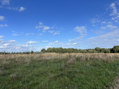 Działki w Sieciechowie, gm. Nowogard. 954 m2.