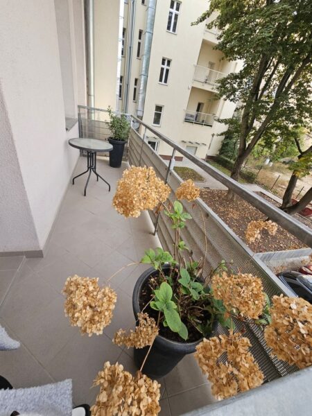 Prestiżowa lokalizacja 3 pokoje – Deptak Bogusława mieszkanie 74 m2