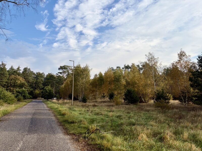 Miękowo | Duża działka przy lesie – 3 980 m² | 796 000 zł