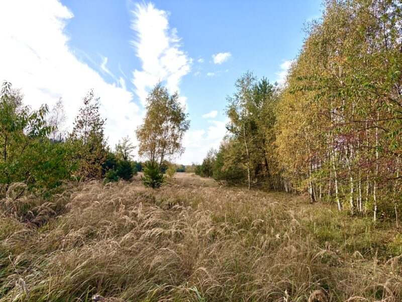 Miękowo | Duża działka przy lesie – 3 980 m² | 796 000 zł
