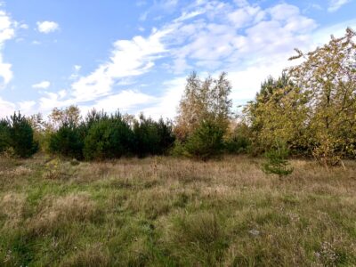 Miękowo | Duża działka przy lesie – 3 980 m² | 796 000 zł