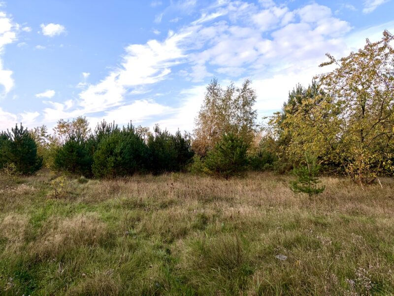 Miękowo | Duża działka przy lesie – 3 980 m² | 796 000 zł