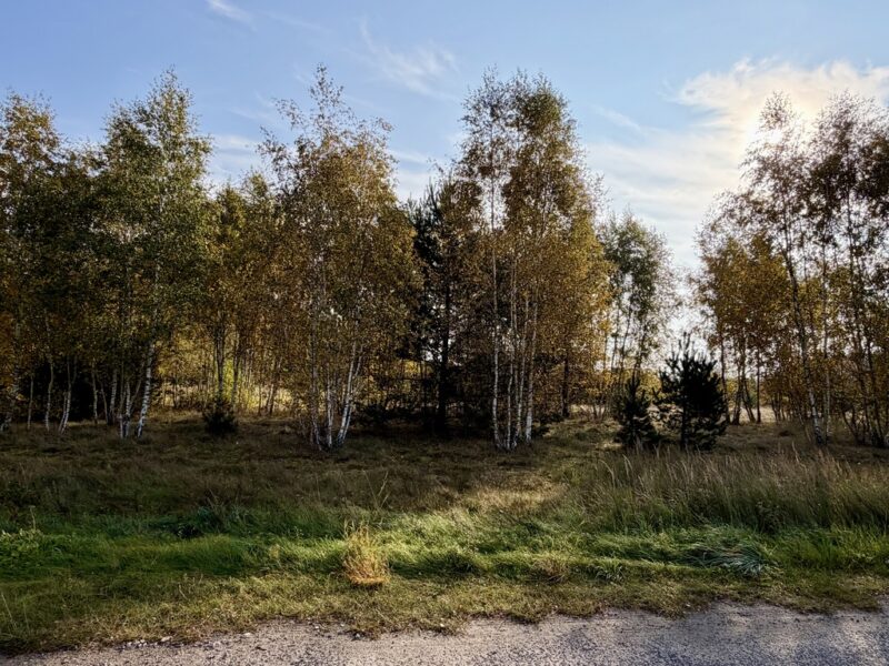 Miękowo | Duża działka przy lesie – 3 980 m² | 796 000 zł