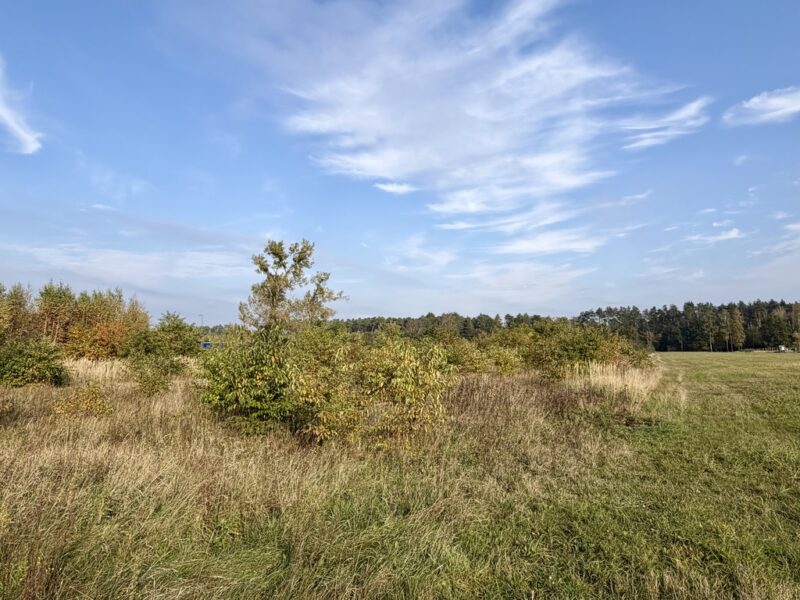 Miękowo | Duża działka przy lesie – 3 980 m² | 796 000 zł