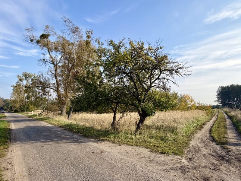 Miękowo | Duża działka przy lesie – 3 980 m² | 796 000 zł