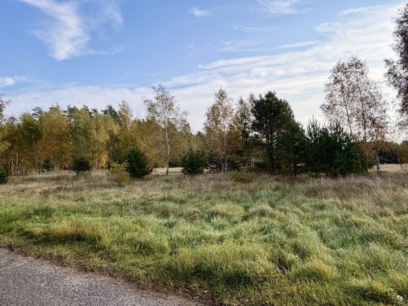 Miękowo | Duża działka przy lesie – 3 980 m² | 796 000 zł
