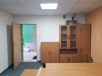 Wynajem, lokal handlowo-magazynowy, Płonia