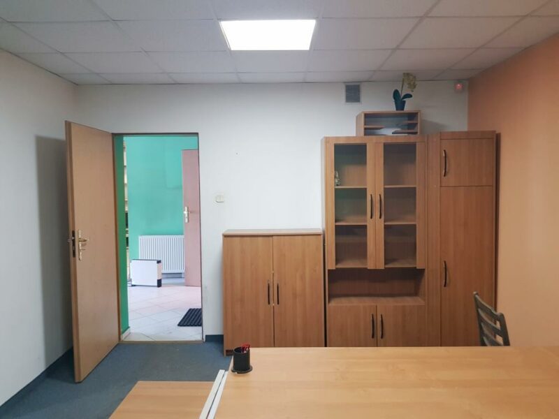 Wynajem, lokal handlowo-magazynowy, Płonia