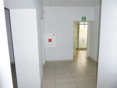 Lokal 240 m² w centrum Szczecina