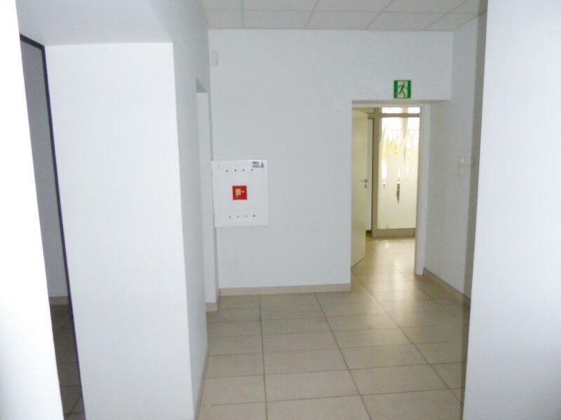 Lokal 240 m² w centrum Szczecina