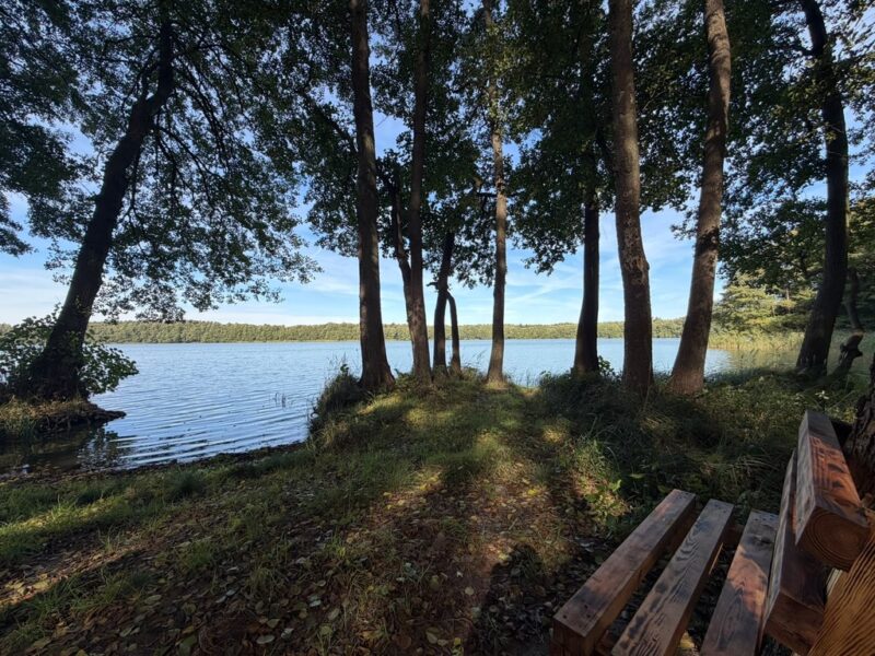 Piękna działka przy ścianie lasu nad jeziorem, z warunkami zabudowy
