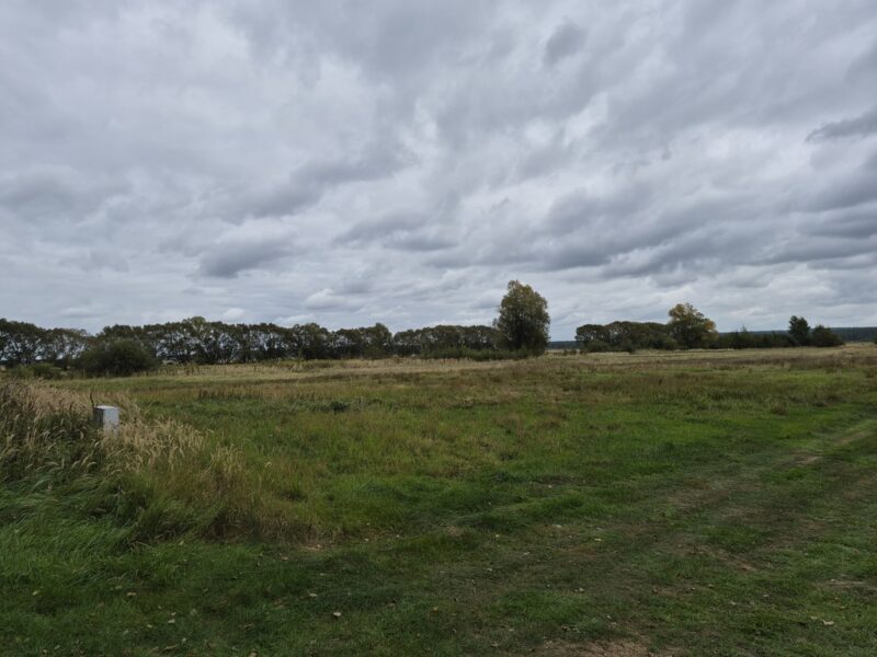 Działka w Dobrej, ul. Dereszowa, Działka z Warunkami Zabudowy, 1251 m²