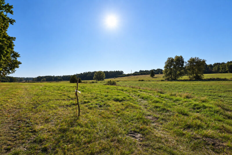 Działka Radzanek, gm. Maszewo, wydane WZ !!! 3,3ha