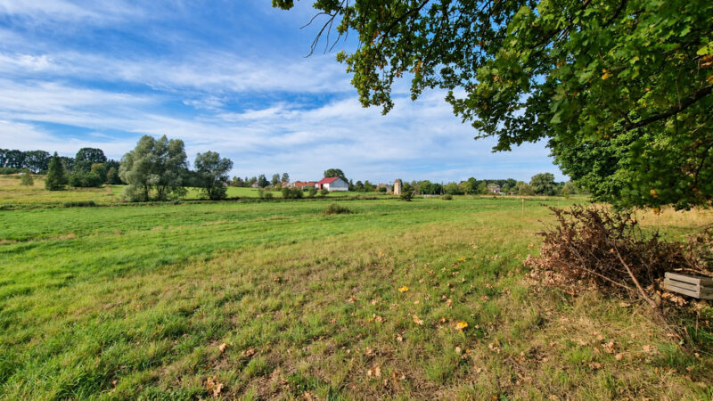 Działka Radzanek, gm. Maszewo, wydane WZ !!! 3,3ha