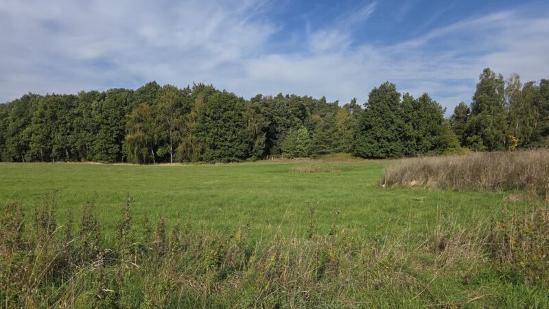 Przęsocin-bardzo atrakcyjna działka budowlana w pobliżu lasu.