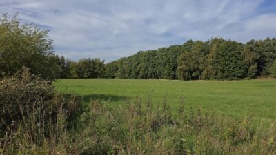 Przęsocin-bardzo atrakcyjna działka budowlana w pobliżu lasu.