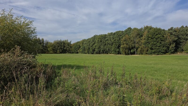 Przęsocin-bardzo atrakcyjna działka budowlana w pobliżu lasu.