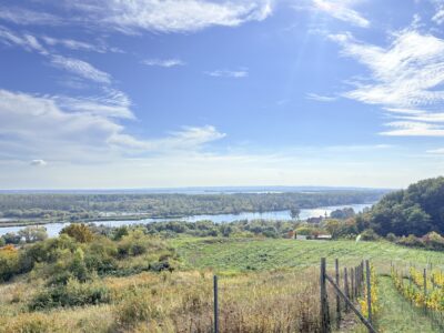 Parter domu 60m2, 3 pokoje, piękny widok na wodę i winnicę, ogród